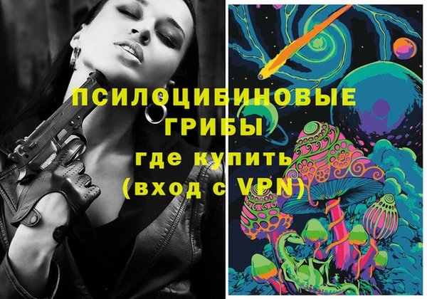 ешки Володарск