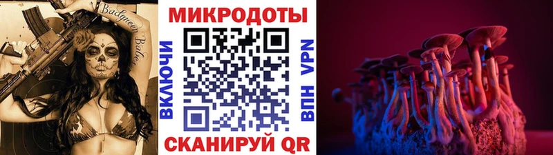 Псилоцибиновые грибы ЛСД  Купить  Моршанск 